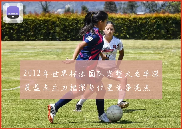 2012年世界杯法国队完整大名单深度盘点主力框架与位置竞争亮点