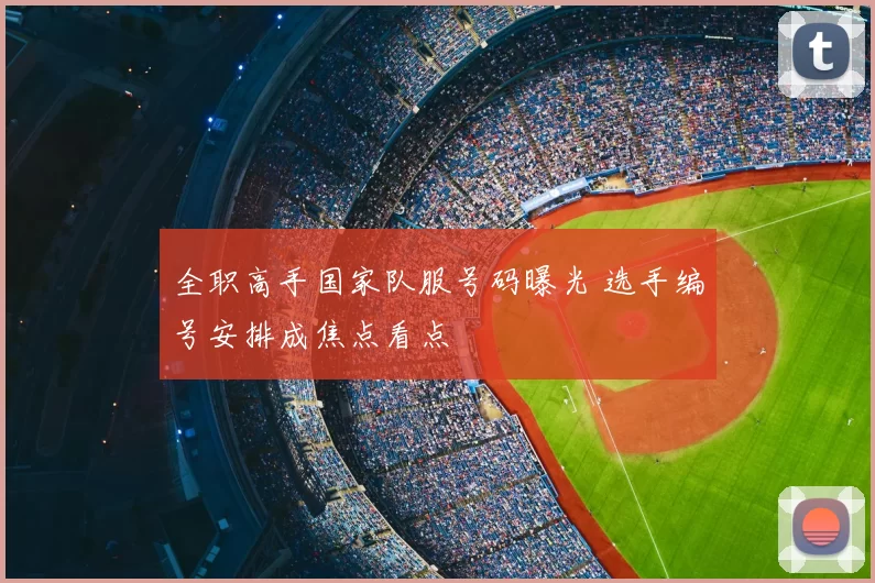 全职高手国家队服号码曝光 选手编号安排成焦点看点