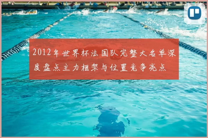 2012年世界杯法国队完整大名单深度盘点主力框架与位置竞争亮点