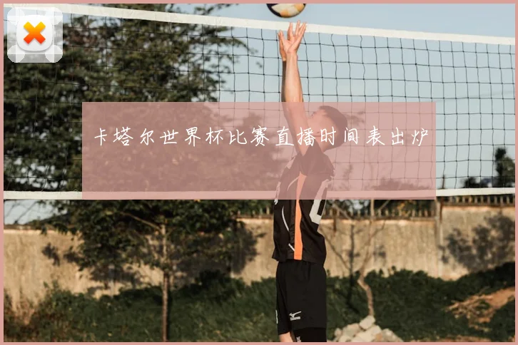 卡塔尔世界杯比赛直播时间表出炉