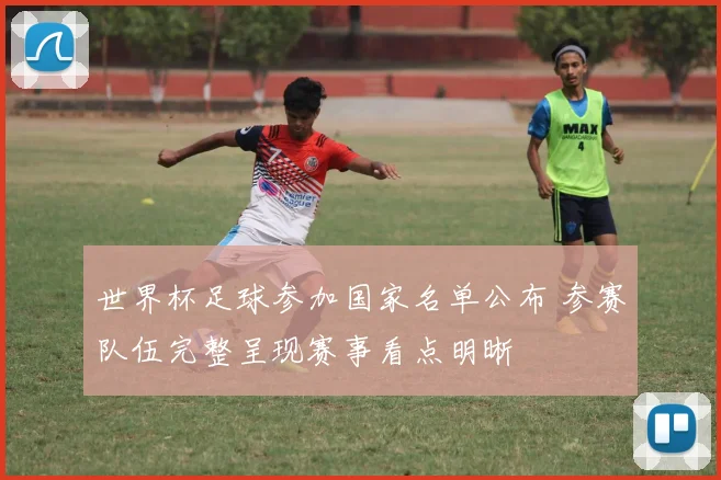 世界杯足球参加国家名单公布 参赛队伍完整呈现赛事看点明晰