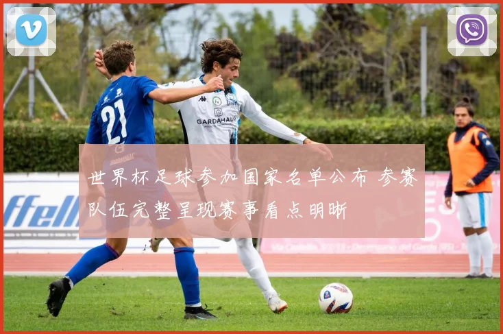 世界杯足球参加国家名单公布 参赛队伍完整呈现赛事看点明晰