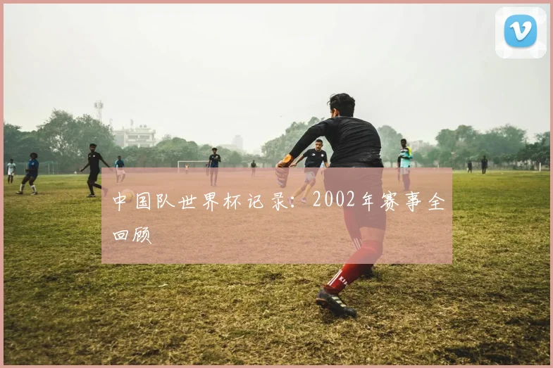 中国队世界杯记录：2002年赛事全回顾