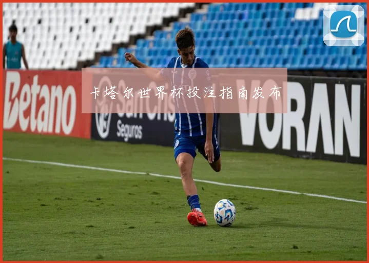卡塔尔世界杯投注指南发布